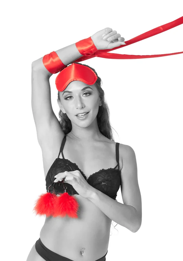 Amor Bondage Beginner Kit